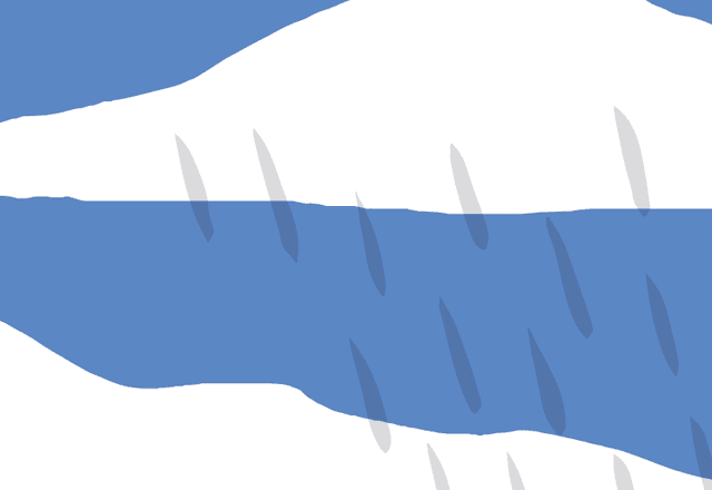 The levels of support that employees need after a loss